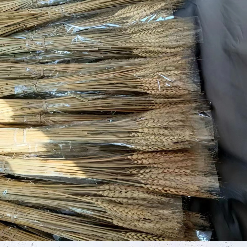 50pcs Artificial Flower Natura - Dried Flower Bulk review and price
