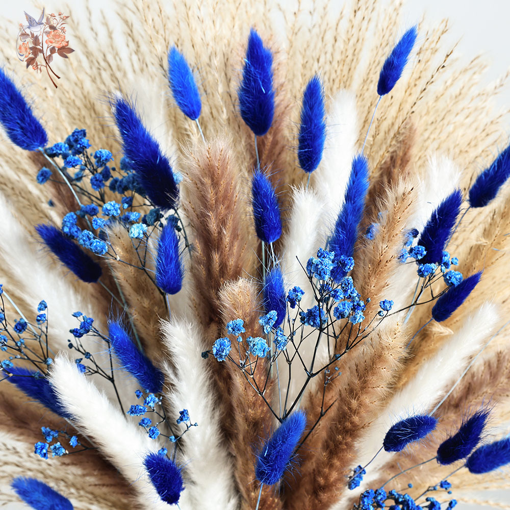 70 Stem Blue Fluffly Rabbit Ta - Dried Flower Bulk review and price