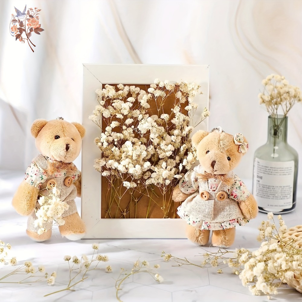 100pcs Mini Dried Baby's Breat - Dried Flower Bulk review and price